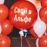 Telegram profile photo for Свой в Альфе 🚀