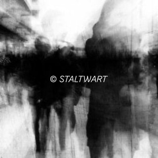 Telegram profile photo for STALTWART.