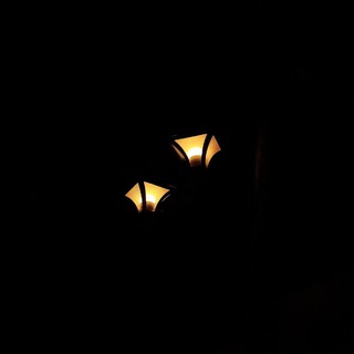 Telegram profile photo for ‹‹ اَرغَـوانـــ ››