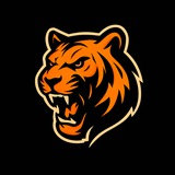 Telegram profile photo for BB BONUS | Официальный Telegram канал