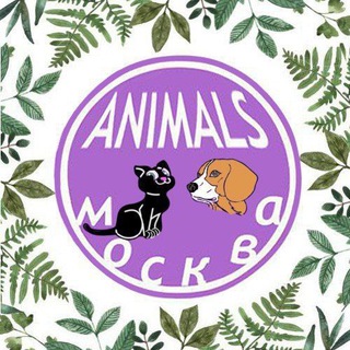 Telegram profile photo for Пушистые: кошки, собаки, грызуны. Домашние животные. Кошатники. Собачники. Зоомир. Москва. Чат.