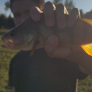 Telegram profile photo for Жизнь рыбака