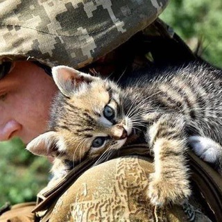 Telegram profile photo for 🇺🇦✙ЗСУ і котики🐈