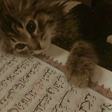 Telegram profile photo for ادْخُلُوهَا بِسَلَامٍ آمِنِينَ