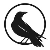 Telegram profile photo for CRYPTO CROW
