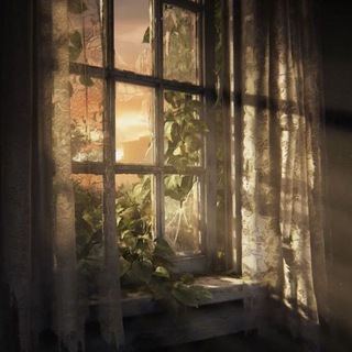 Telegram profile photo for The last of us