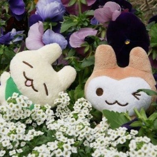 Telegram profile photo for podsushnyakkk500