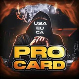 Telegram profile photo for Pro card notes