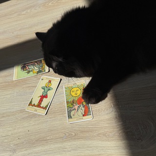 Telegram profile photo for POLIES TAROT