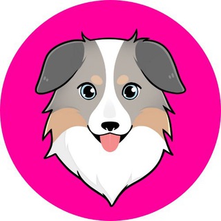 Telegram profile photo for π $ASS: Australian Safe Shepherd π