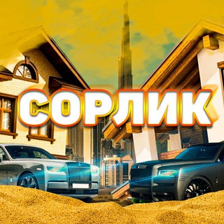 Telegram profile photo for Братва СОРЛИКа