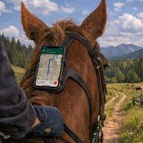 Telegram profile photo for Русский Ямщик