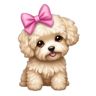 Telegram profile photo for Мини машазин