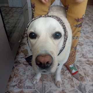 Telegram profile photo for Новый игрок