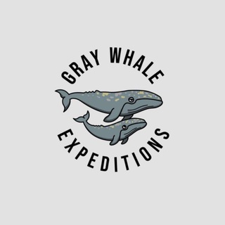 Telegram profile photo for Gray Whale Expeditions