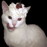 Telegram profile photo for 𝘊𝘏𝘌𝘙𝘙𝘠 𝘗𝘌𝘙𝘚𝘖𝘕'𝘚 .