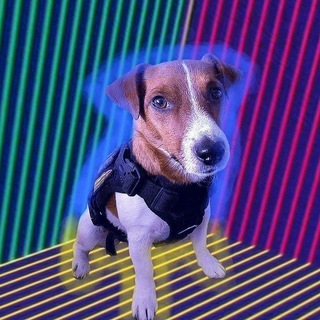 Telegram profile photo for gmanka shitpost