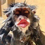 Telegram profile photo for ๐ข๐ฎ๐ซ๐ต๐ฒ๐ท๐ด ๐๐ข๐ก