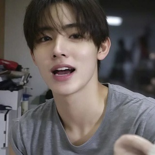 Telegram profile photo for chengxuan