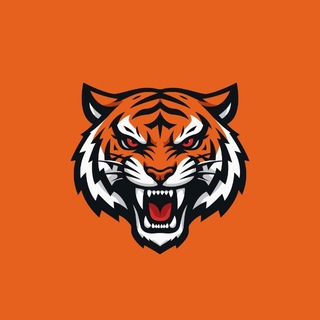 Telegram profile photo for SHADOW TIGERS | Standoff 2