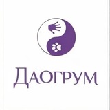 Telegram profile photo for Даогрум студия груминга