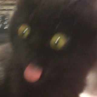 Telegram profile photo for архивы минувших дней