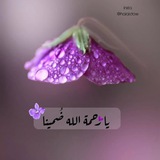 Telegram profile photo for أسومز