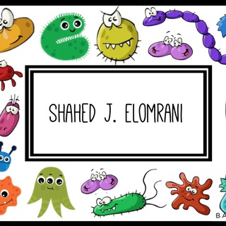 Telegram profile photo for Shahed Elomrani