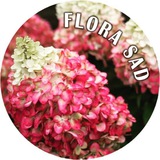 Telegram profile photo for Flora_sad_