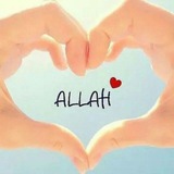 Telegram profile photo for 🕊𝐌𝐨ʻ𝐦𝐢𝐧 𝐌𝐮𝐬𝐢𝐥𝐦𝐨𝐧𝐥𝐚𝐫🕊 رَسُلِلَّهﷺ❤