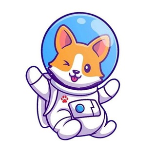 Telegram profile photo for ZooStyle.in.ua