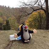 Telegram profile photo for My lazy trips & other stories