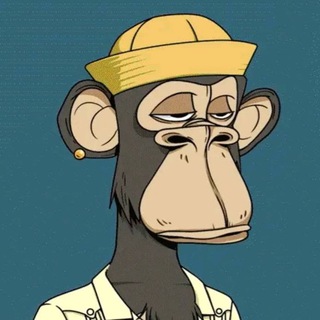 Telegram profile photo for Bigger stomach Fundamentals
