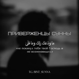 Telegram profile photo for приверженцы сунны.