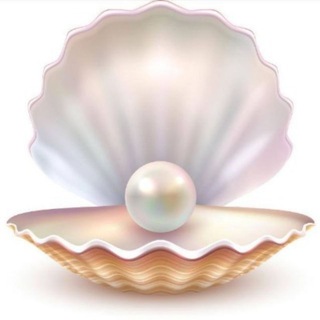 Telegram profile photo for Nir Menussi π Updates