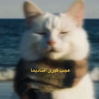 Telegram profile photo for ufo