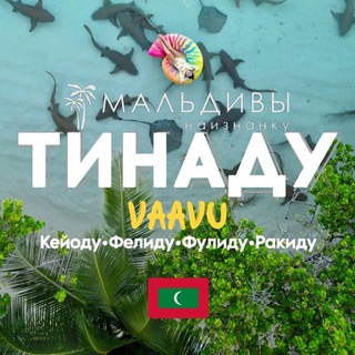 Telegram group profile photo for 🏝️ ТИНАДУ🇲🇻VAAVU ЧАТ МАЛЬДИВЫ