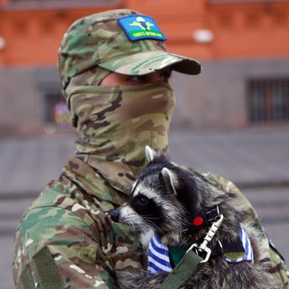 Telegram profile photo for Роман Наумов