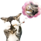 Telegram profile photo for /коиеноканн