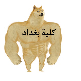 Telegram profile photo for كلية بغداد > أي كلية ببالك 🤨