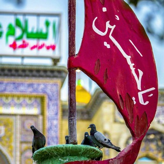Telegram profile photo for 🌷نـ♡ــوکَـرانِ اَباعَبْــدِاللّه🌷
