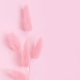 Telegram profile photo for ЗАКУПЩИКАМ СЮДА 🌸