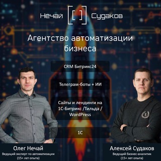 Telegram profile photo for Нечай и Судаков - агентство автоматизации бизнеса