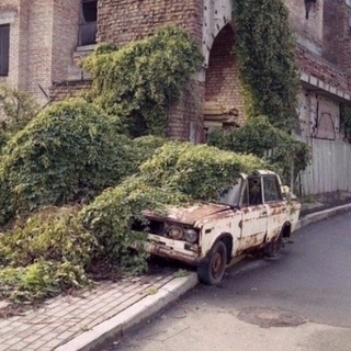 Telegram profile photo for 414й