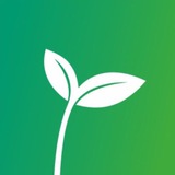 Telegram profile photo for FRESH🌱CAFE Новосущевский