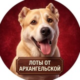 Telegram profile photo for Лоты от архангельской