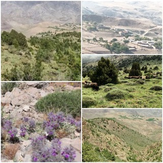 Telegram profile photo for کانال رسمی روستای گُوَرد