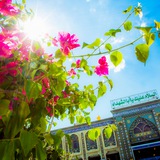 Telegram profile photo for زیارت عاشورا