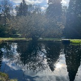 Telegram profile photo for Lydias Weg der Heilung