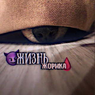 Telegram profile photo for 🐶Жизнь Жорика🫶